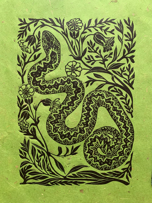 Adder in Sea Campion