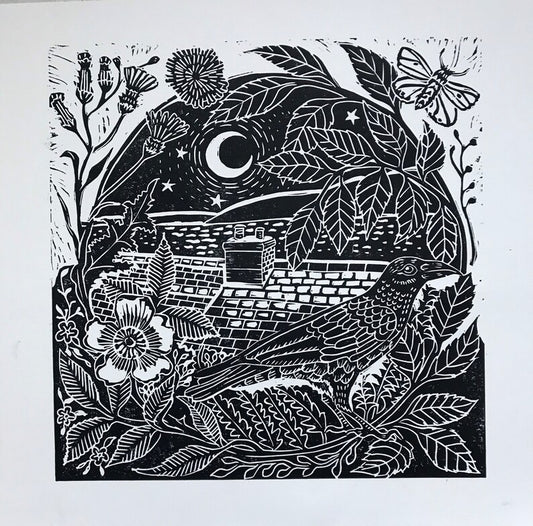 Crow, Clovelly Moonlight