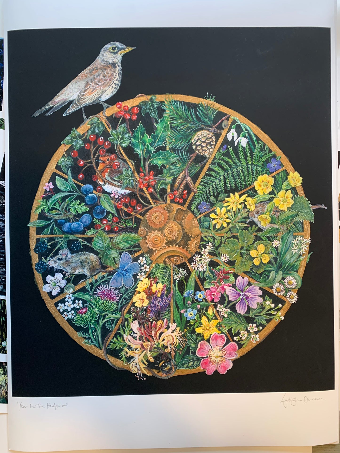 Year In The Hedgerow