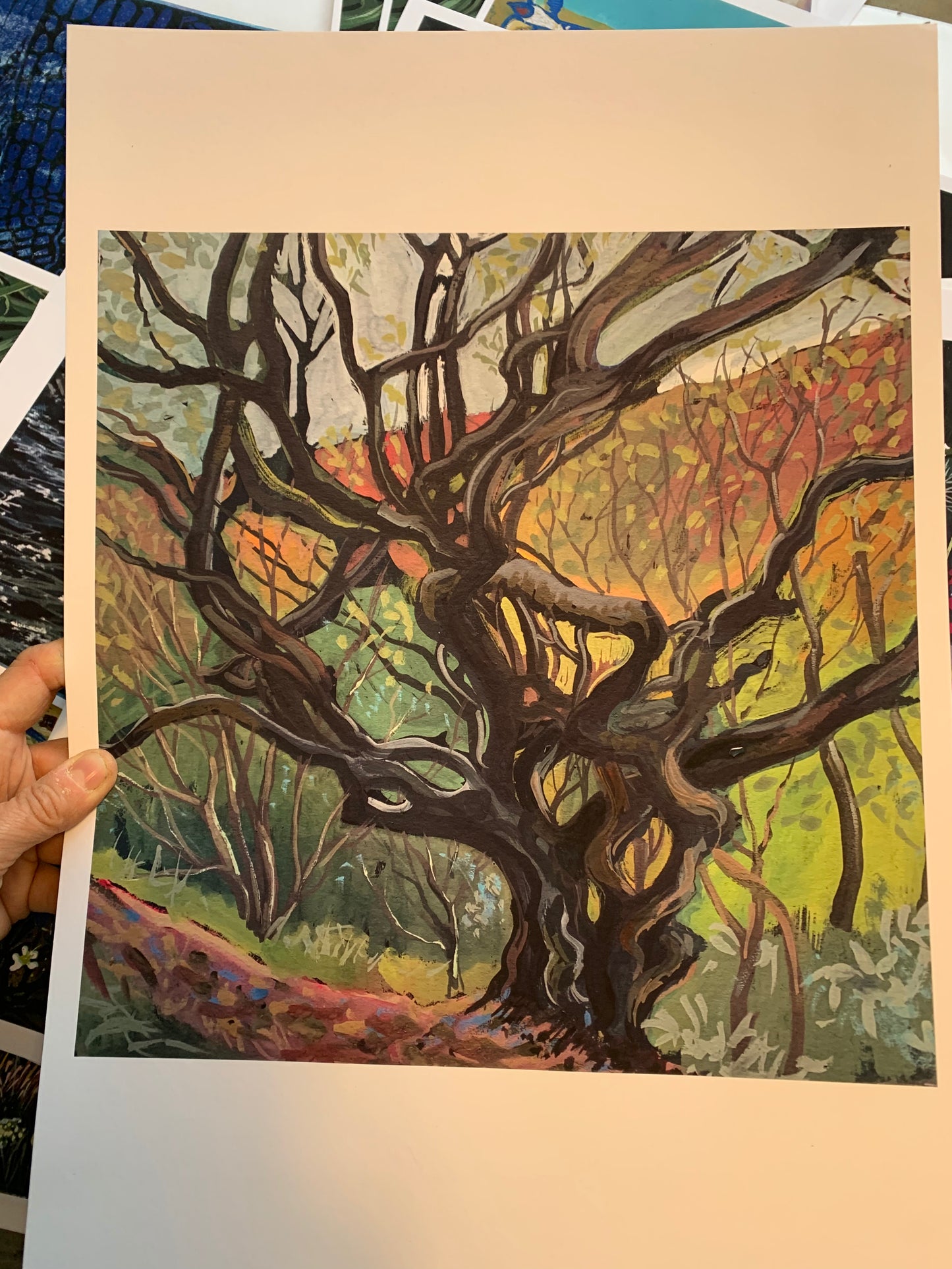 Twisted Beech