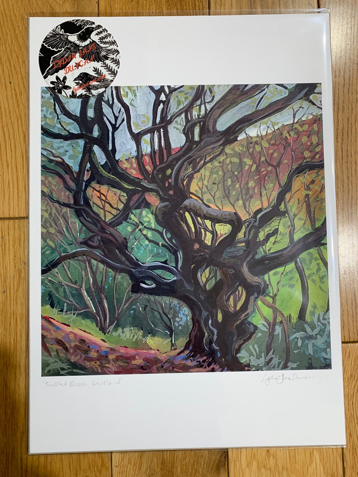 Twisted Beech