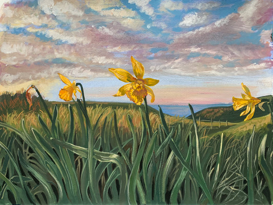 Daffodils, The Warren.